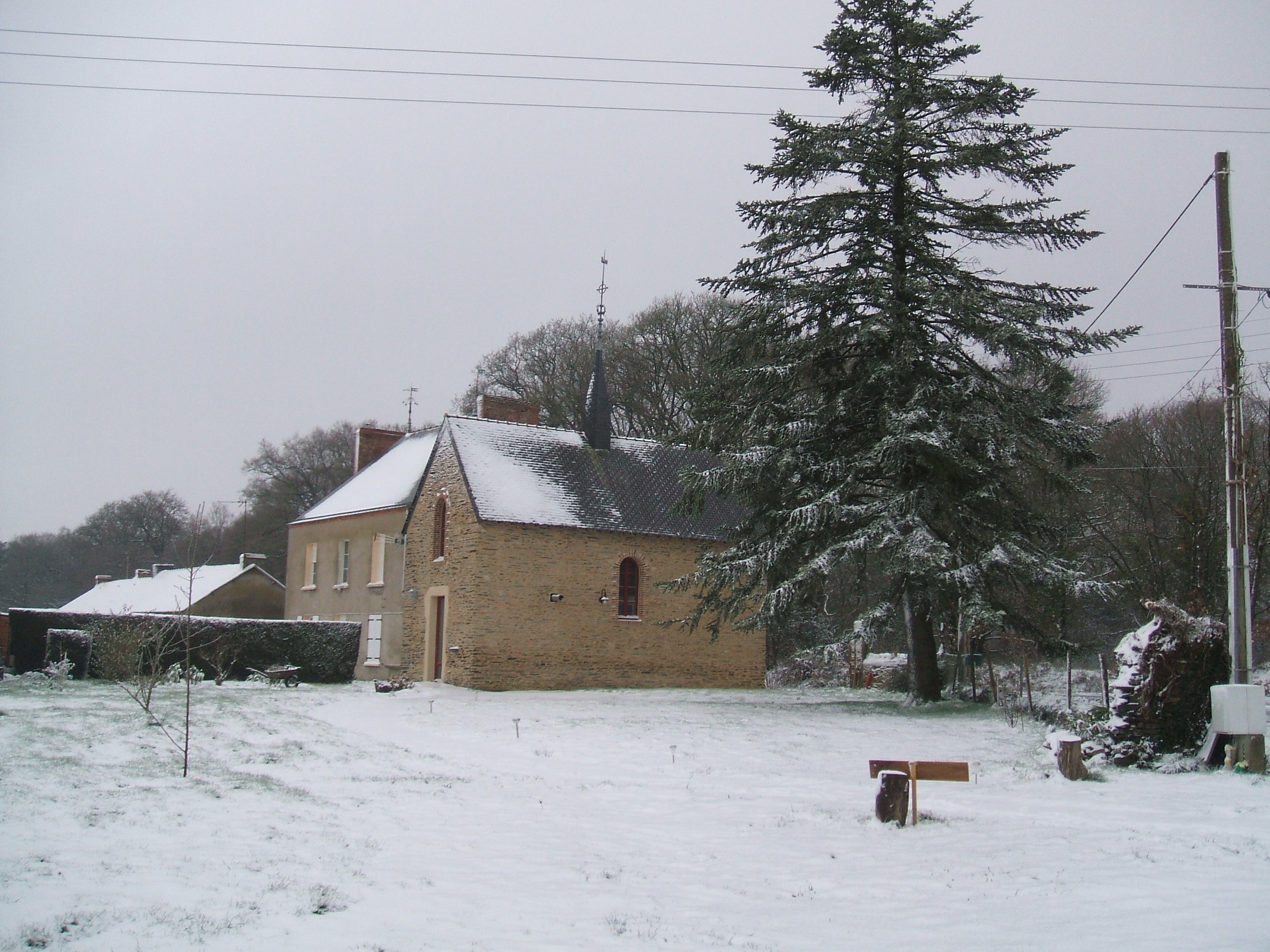 Sous la neige